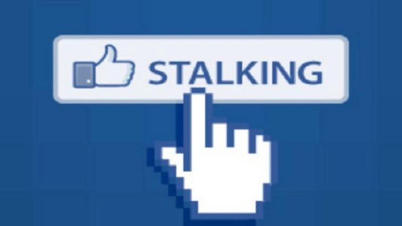 stalk jpeg