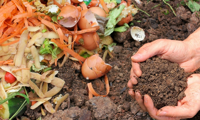 compost3pixabay jpg