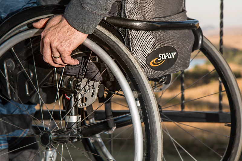 Invaliditet kroz vreme: iskustva dve generacije .