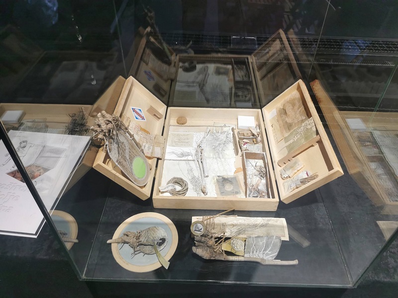 stripvikend12
